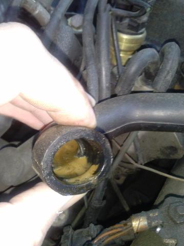 2014_03_20_15.54.18.jpg