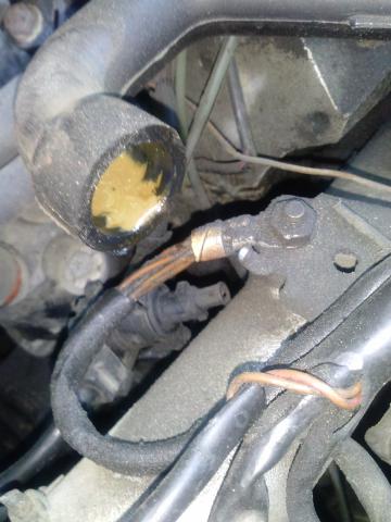 2014_03_20_15.54.07.jpg