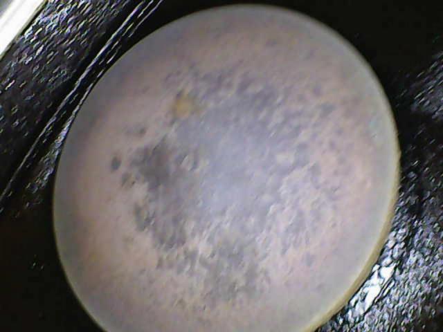 Photo_2026-03-06 18_41_47_802.JPG