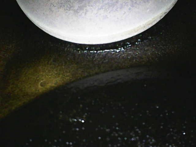 Photo_2026-03-06 18_41_32_448.JPG