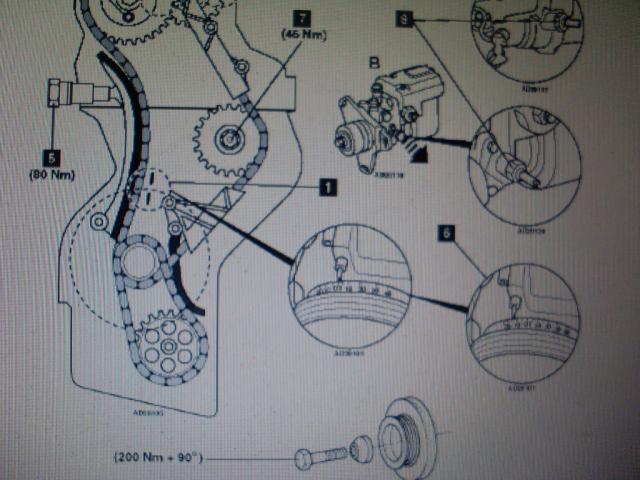 SL371445.JPG