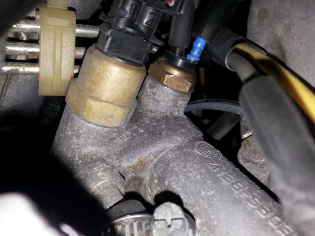 20160414_075406.jpg