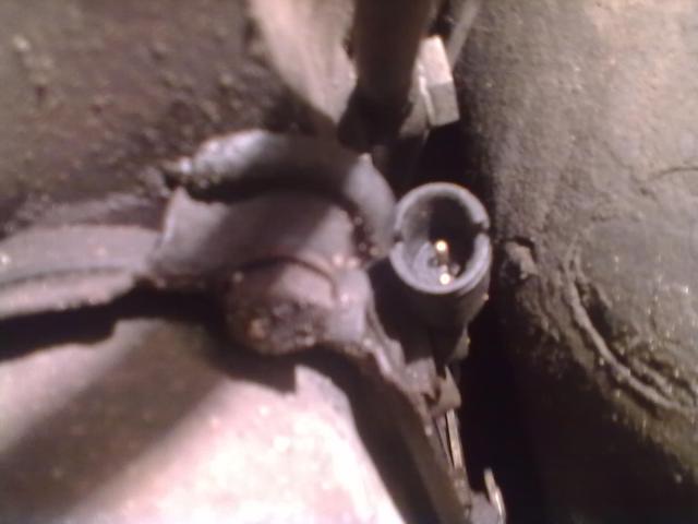 250120131064.jpg