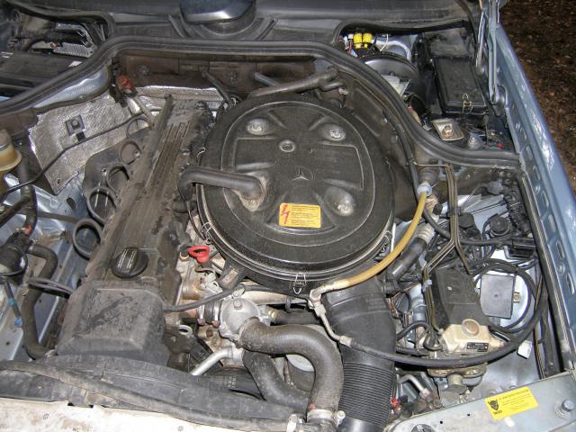 P5020588.JPG