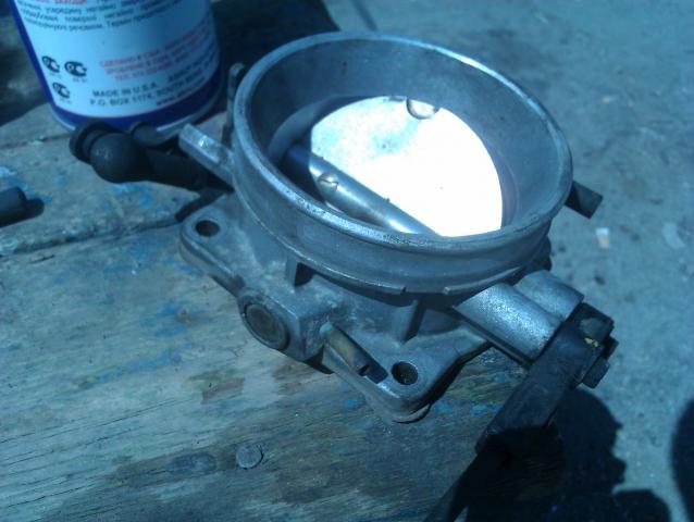 IMAG0120.jpg