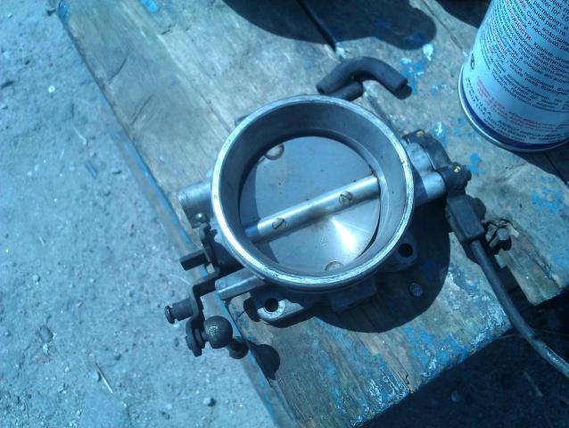 IMAG0123.jpg