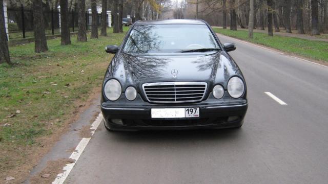 5e3aaeu_960.jpg
