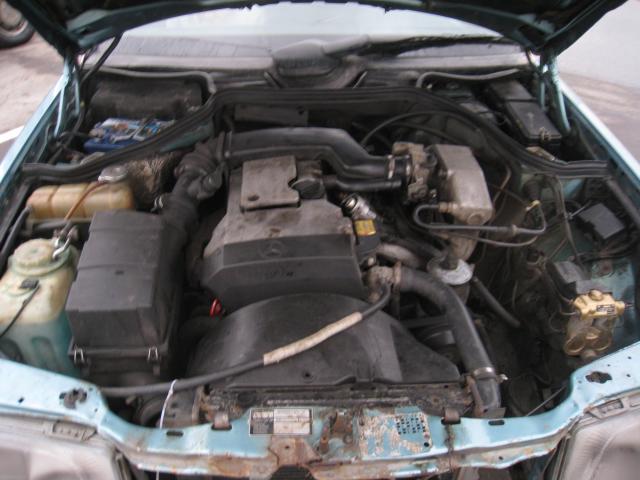 IMG_4447.JPG