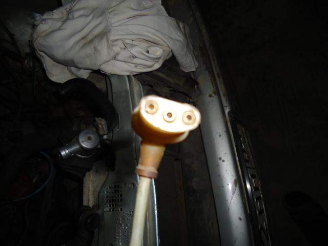 DSC04219.JPG