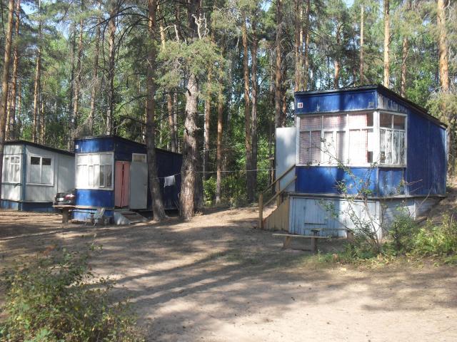 SDC14127.JPG