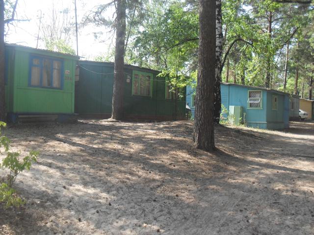 SDC14121.JPG
