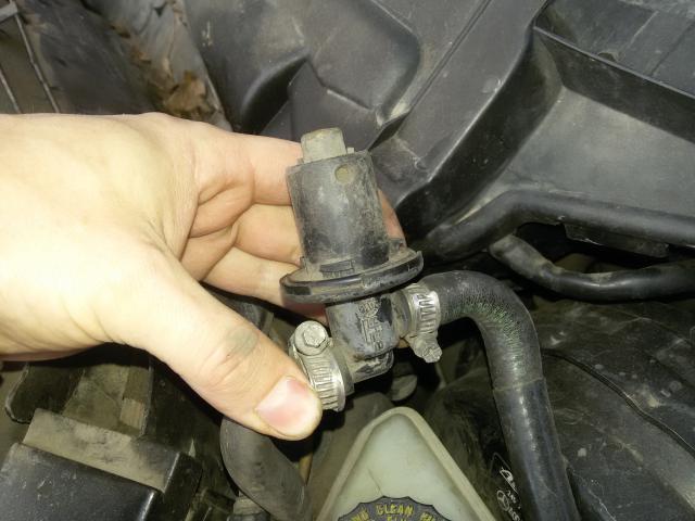 20160403_175219.jpg