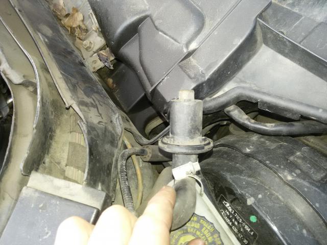 20160403_175214.jpg