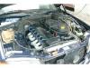 full_126_2.jpg