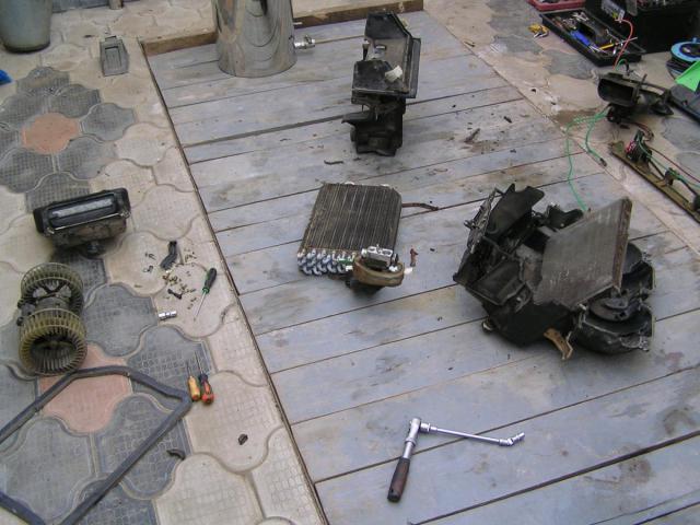 P1010023.JPG