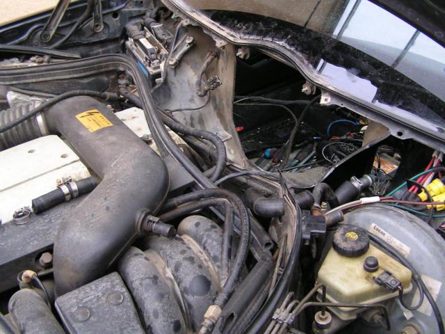 P1010021.JPG