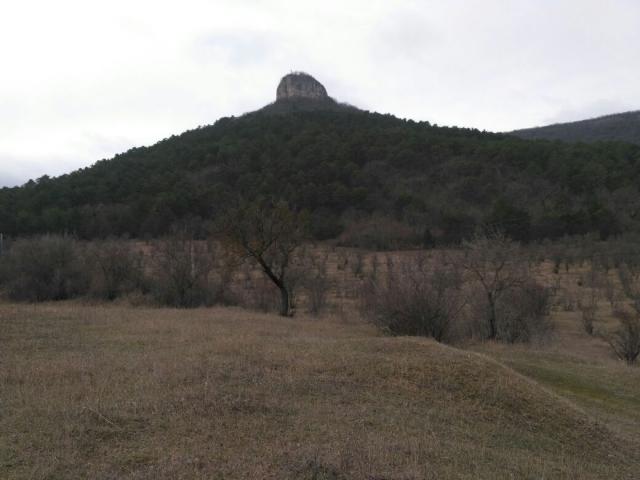 IMG-20170225-WA0008.jpg