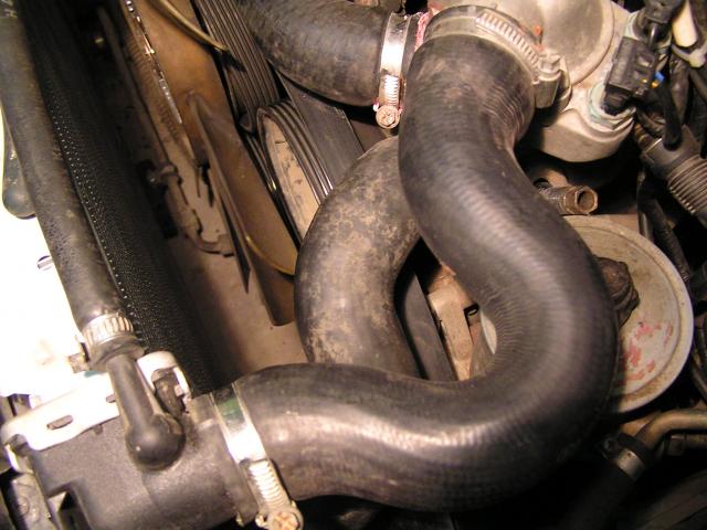 PA224016.JPG