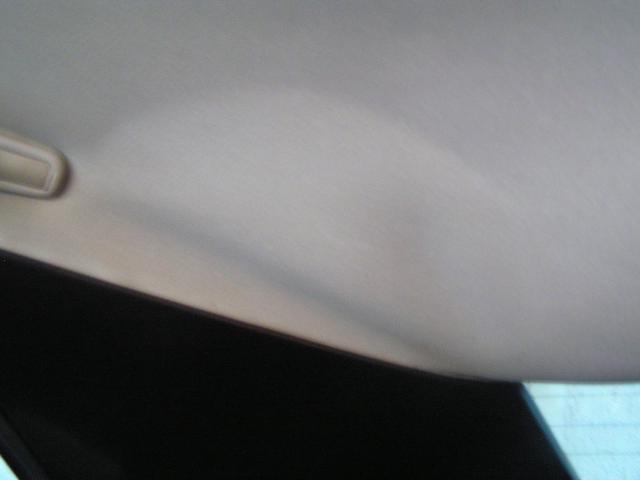 P1010016.JPG