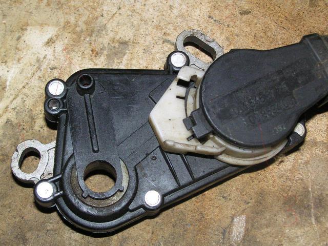 P1010021.JPG