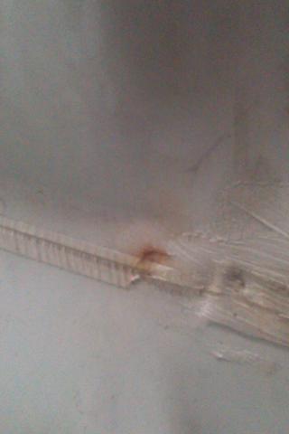 IMAG0019.jpg