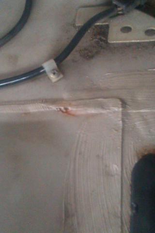 IMAG0023.jpg