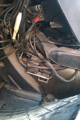 IMAG0485.jpg