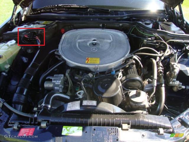 37597546.jpg