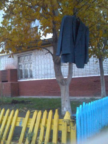 009.jpg