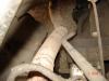 DSC09338.jpg