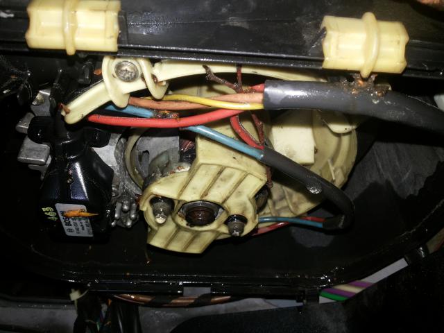 20150530_145826.jpg