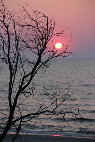 IMG_3083.JPG