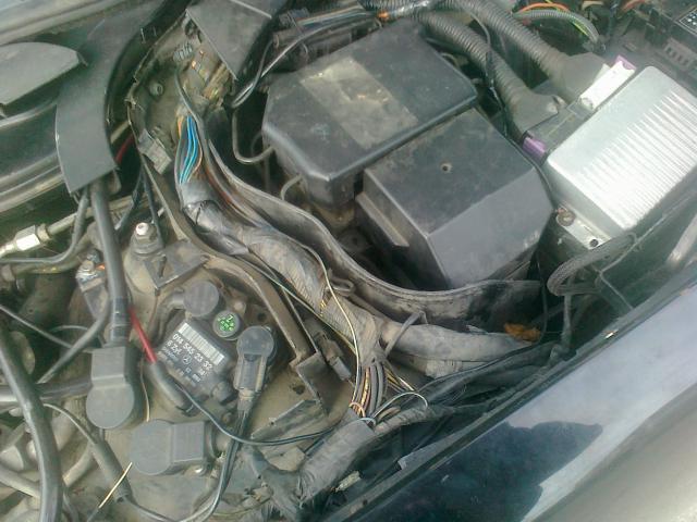 070320142556.jpg