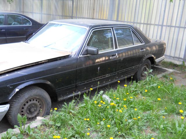 DSCN0075.jpg