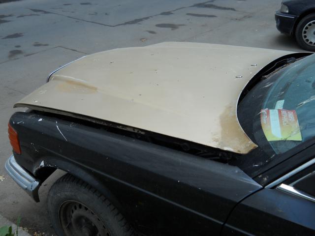 DSCN0077.jpg
