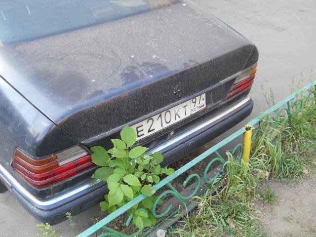 DSCN0086.jpg