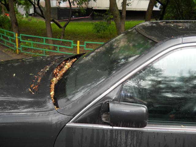 DSCN0119.jpg