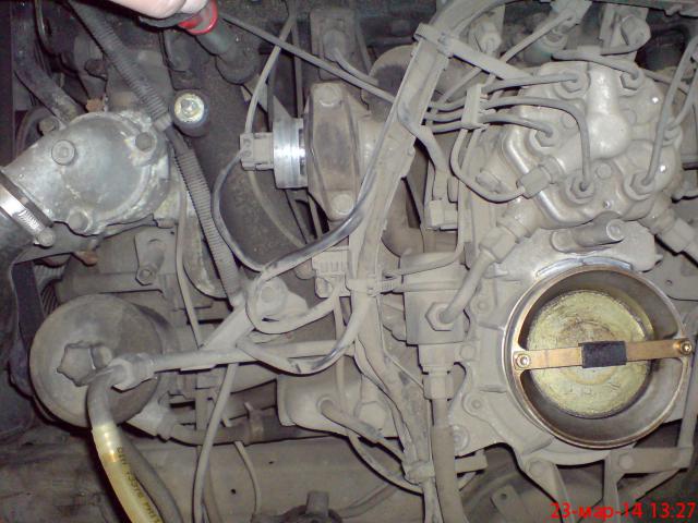 DSC00590.JPG