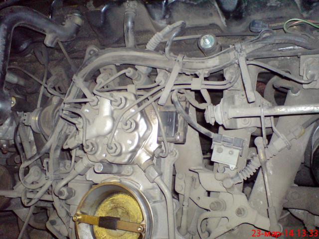 DSC00597.JPG