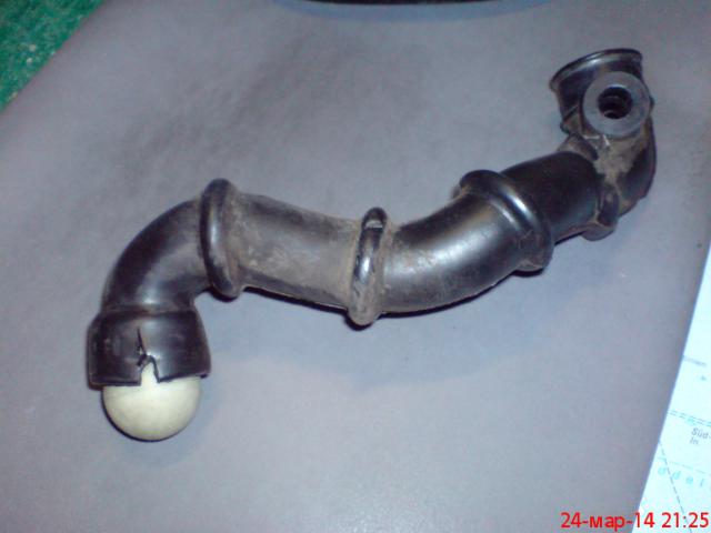 DSC00600.JPG