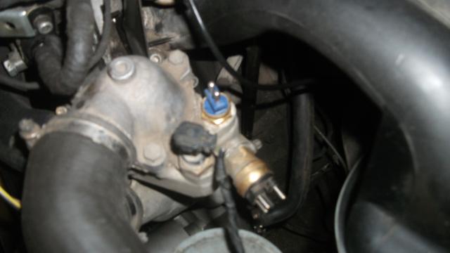 DSCF4125.jpg