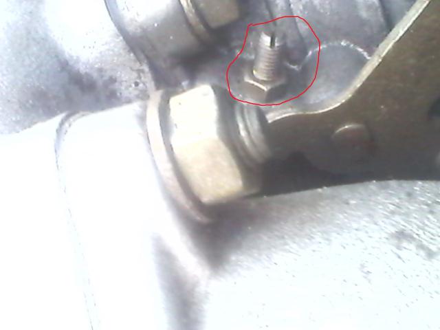 IMG10128.jpg