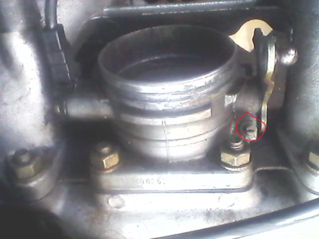 IMG10129.jpg