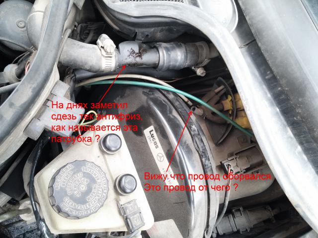 CAM00143.jpg
