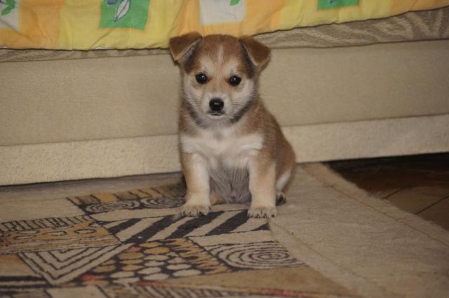 DSC07142.JPG