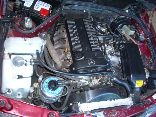 IMGP9530.JPG