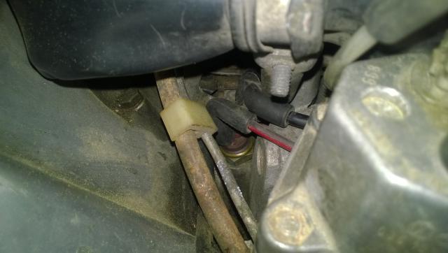 WP_20140509_021.jpg