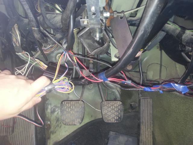 WP_20150420_005.jpg