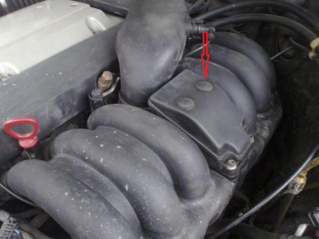 f398bf8s_960.jpg