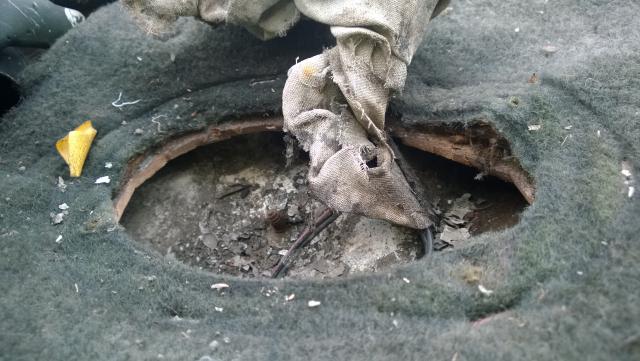 WP_20140518_008.jpg